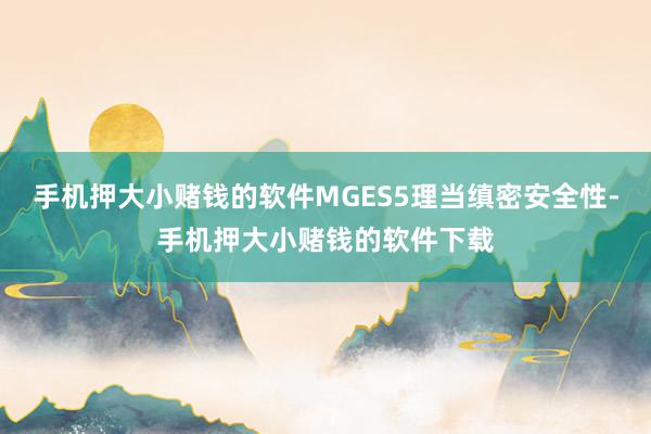 手机押大小赌钱的软件MGES5理当缜密安全性-手机押大小赌钱的软件下载