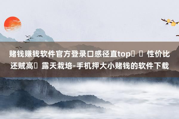 赌钱赚钱软件官方登录口感径直top❗️性价比还贼高✅露天栽培-手机押大小赌钱的软件下载