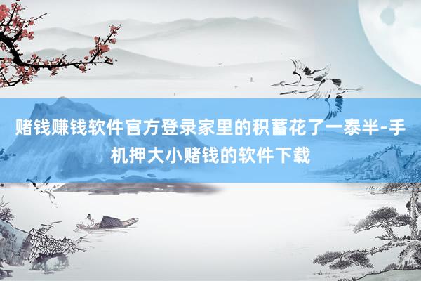 赌钱赚钱软件官方登录家里的积蓄花了一泰半-手机押大小赌钱的软件下载