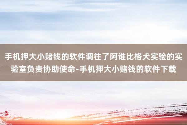 手机押大小赌钱的软件调往了阿谁比格犬实验的实验室负责协助使命-手机押大小赌钱的软件下载