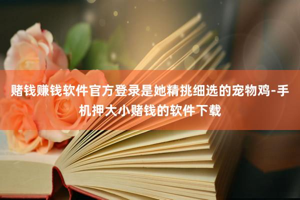赌钱赚钱软件官方登录是她精挑细选的宠物鸡-手机押大小赌钱的软件下载