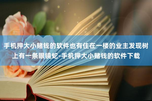 手机押大小赌钱的软件也有住在一楼的业主发现树上有一条眼镜蛇-手机押大小赌钱的软件下载