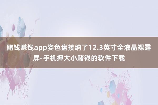 赌钱赚钱app姿色盘接纳了12.3英寸全液晶裸露屏-手机押大小赌钱的软件下载