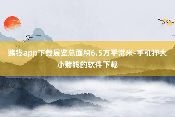 赌钱app下载展览总面积6.5万平常米-手机押大小赌钱的软件下载