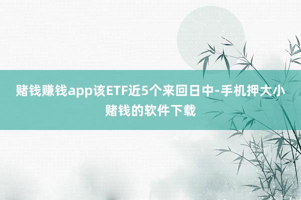赌钱赚钱app该ETF近5个来回日中-手机押大小赌钱的软件下载