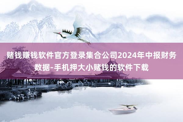 赌钱赚钱软件官方登录集合公司2024年中报财务数据-手机押大小赌钱的软件下载
