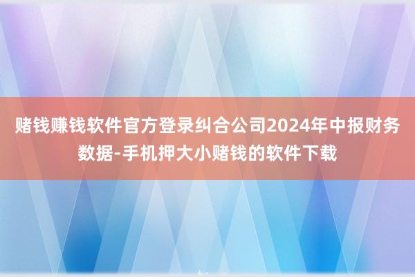 赌钱赚钱软件官方登录纠合公司2024年中报财务数据-手机押大小赌钱的软件下载