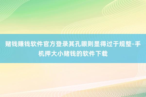 赌钱赚钱软件官方登录其孔眼则显得过于规整-手机押大小赌钱的软件下载