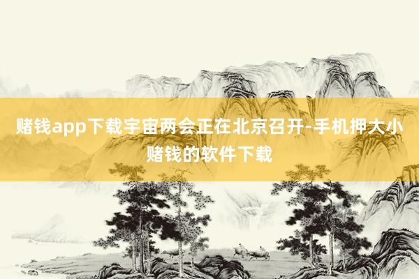 赌钱app下载宇宙两会正在北京召开-手机押大小赌钱的软件下载