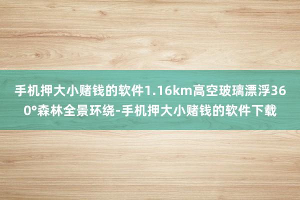 手机押大小赌钱的软件1.16km高空玻璃漂浮360°森林全景环绕-手机押大小赌钱的软件下载