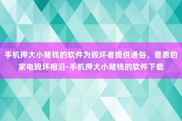 手机押大小赌钱的软件为毁坏者提供通俗、普惠的家电毁坏相沿-手机押大小赌钱的软件下载