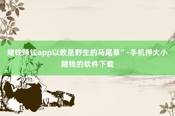赌钱赚钱app以致是野生的马尾草”-手机押大小赌钱的软件下载