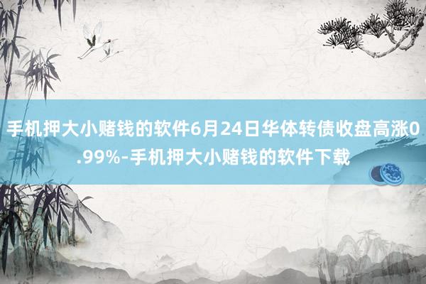手机押大小赌钱的软件6月24日华体转债收盘高涨0.99%-手机押大小赌钱的软件下载
