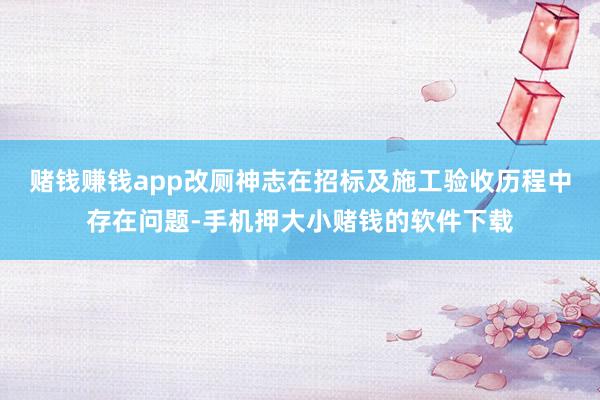 赌钱赚钱app改厕神志在招标及施工验收历程中存在问题-手机押大小赌钱的软件下载