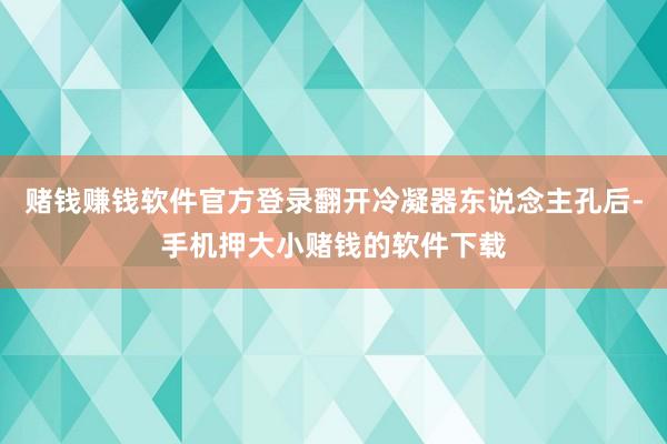 赌钱赚钱软件官方登录翻开冷凝器东说念主孔后-手机押大小赌钱的软件下载