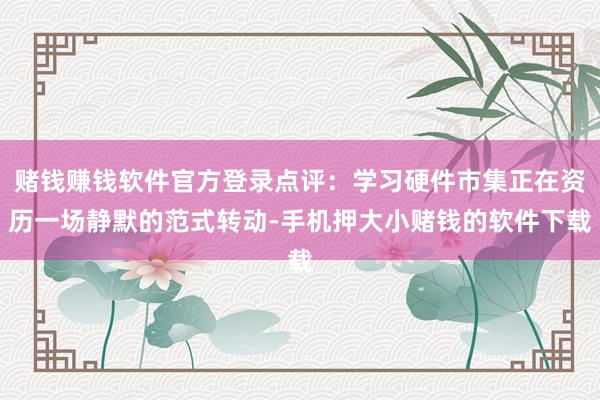 赌钱赚钱软件官方登录点评:学习硬件市集正在资历一场静默的范式转动-手机押大小赌钱的软件下载