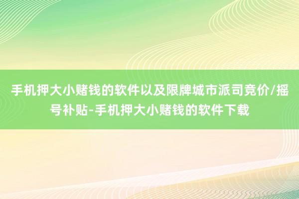 手机押大小赌钱的软件以及限牌城市派司竞价/摇号补贴-手机押大小赌钱的软件下载