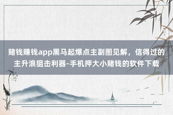赌钱赚钱app黑马起爆点主副图见解，信得过的主升浪狙击利器-手机押大小赌钱的软件下载