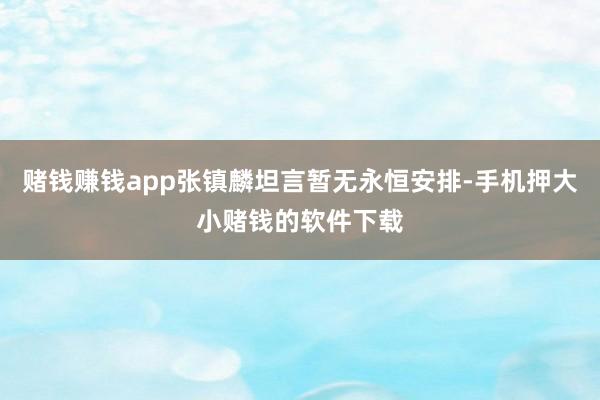 赌钱赚钱app张镇麟坦言暂无永恒安排-手机押大小赌钱的软件下载