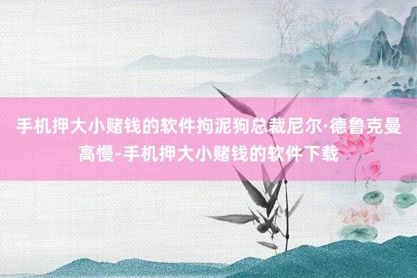 手机押大小赌钱的软件拘泥狗总裁尼尔·德鲁克曼高慢-手机押大小赌钱的软件下载
