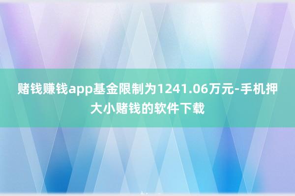 赌钱赚钱app基金限制为1241.06万元-手机押大小赌钱的软件下载