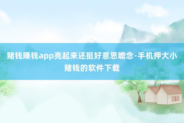 赌钱赚钱app亮起来还挺好意思瞻念-手机押大小赌钱的软件下载