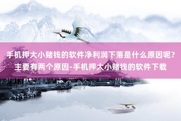 手机押大小赌钱的软件净利润下落是什么原因呢？主要有两个原因-手机押大小赌钱的软件下载
