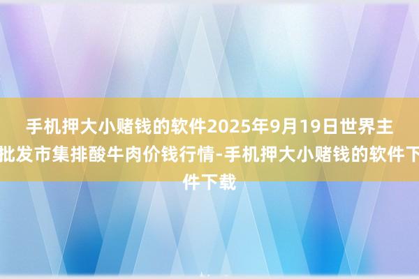 手机押大小赌钱的软件2025年9月19日世界主要批发市集排酸牛肉价钱行情-手机押大小赌钱的软件下载