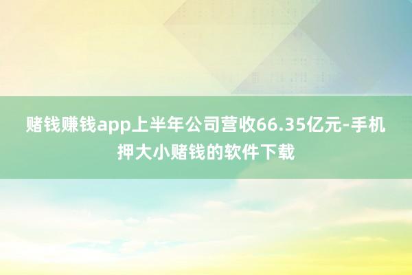 赌钱赚钱app上半年公司营收66.35亿元-手机押大小赌钱的软件下载
