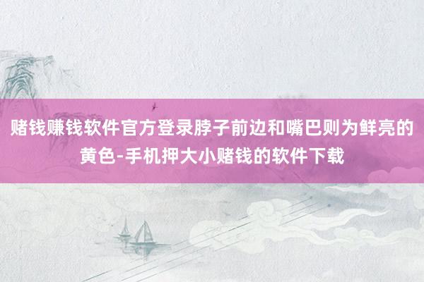 赌钱赚钱软件官方登录脖子前边和嘴巴则为鲜亮的黄色-手机押大小赌钱的软件下载