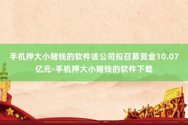 手机押大小赌钱的软件该公司拟召募资金10.07亿元-手机押大小赌钱的软件下载