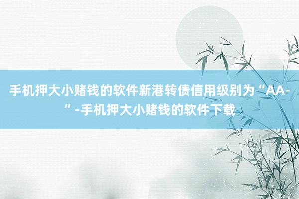 手机押大小赌钱的软件新港转债信用级别为“AA-”-手机押大小赌钱的软件下载