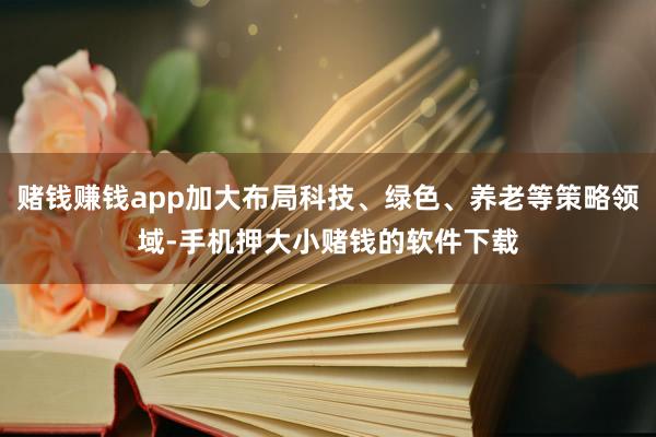 赌钱赚钱app加大布局科技、绿色、养老等策略领域-手机押大小赌钱的软件下载