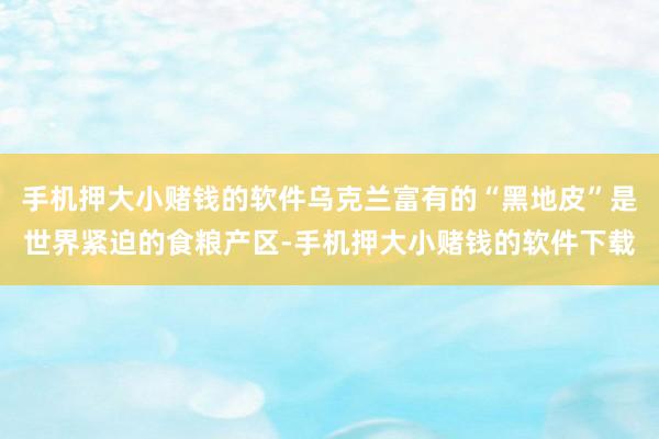 手机押大小赌钱的软件乌克兰富有的“黑地皮”是世界紧迫的食粮产区-手机押大小赌钱的软件下载