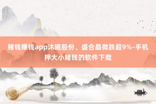 赌钱赚钱app沐曦股份、盛合晶微跌超9%-手机押大小赌钱的软件下载